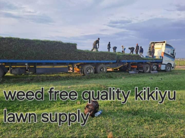 Ground Preparation & Lawn Supply